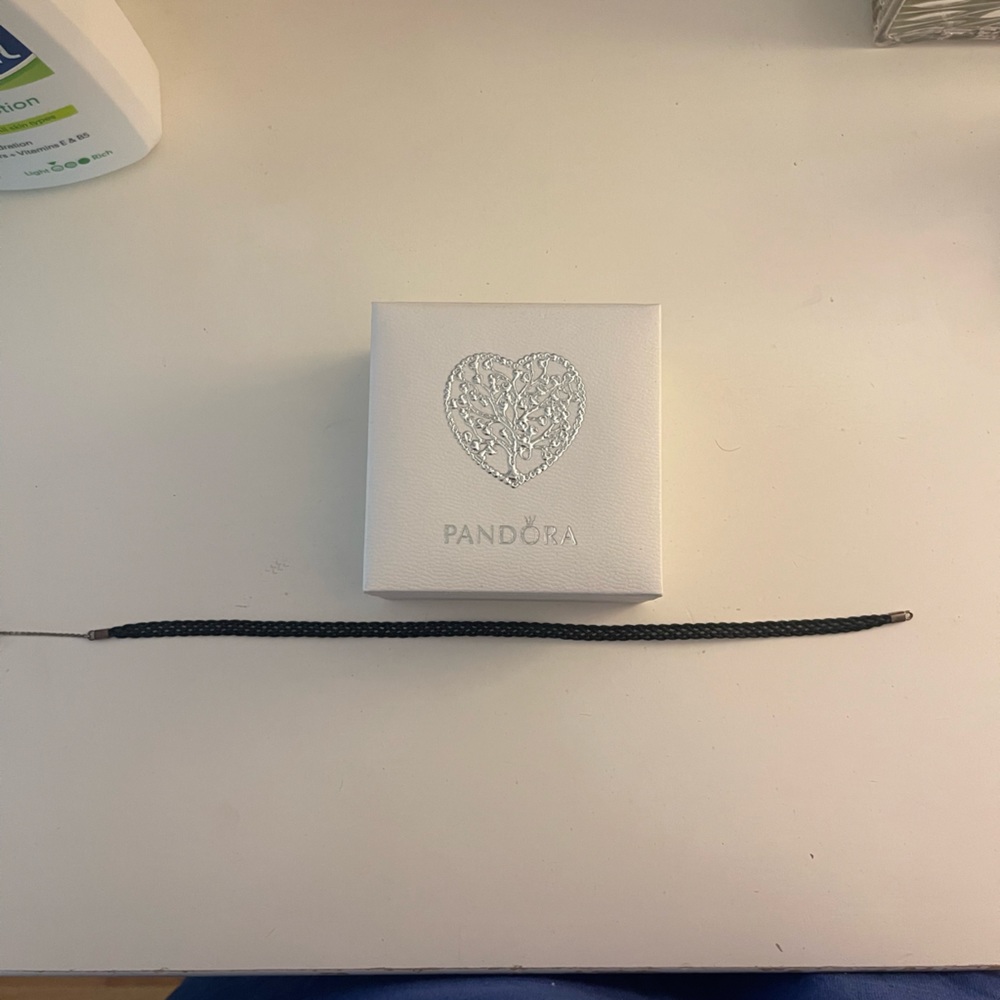 Pandora choker with charm